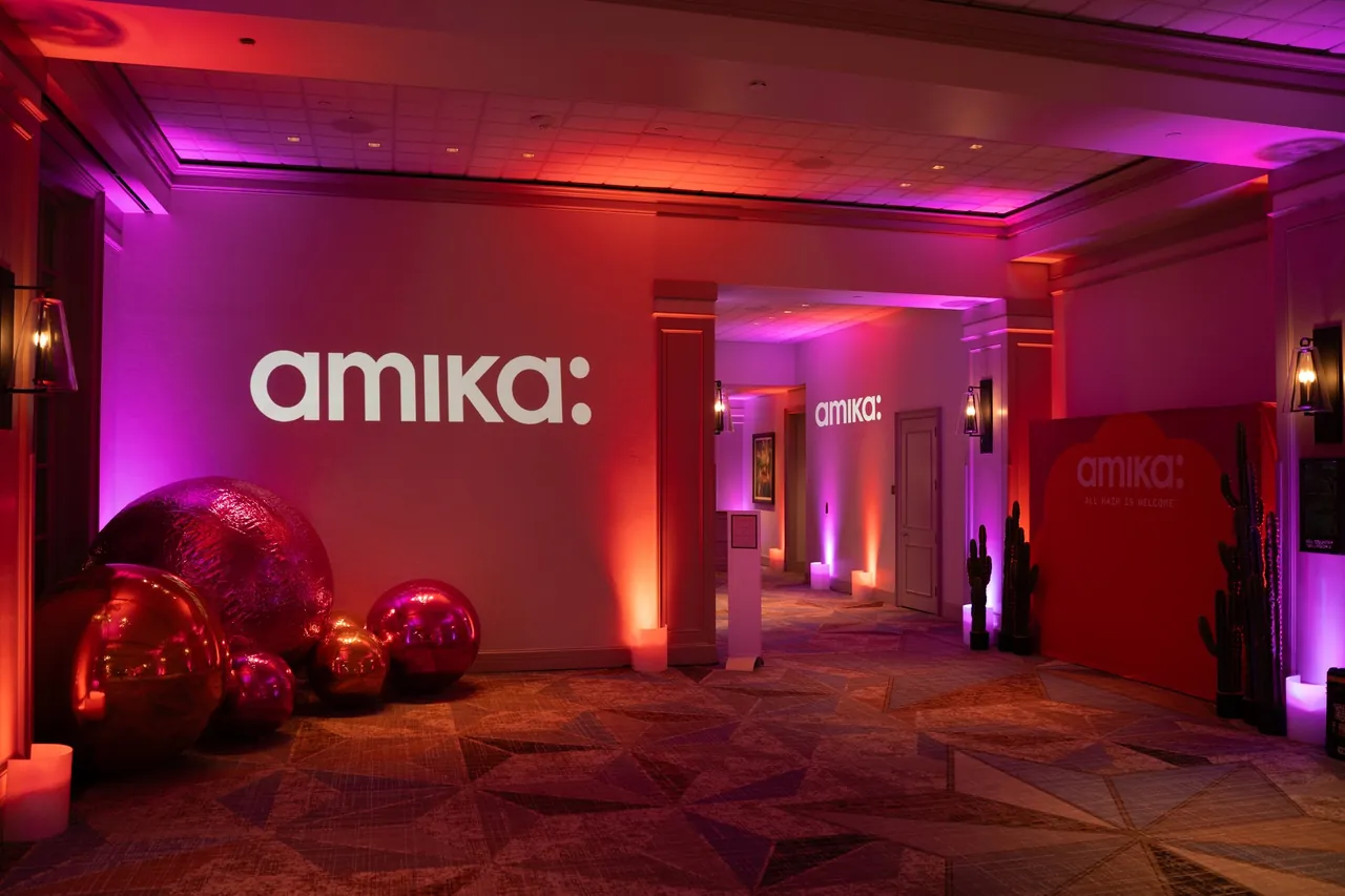 amika: connect, image 2